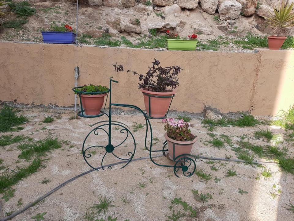 Emile Altwal Madaba Apartman Kültér fotó