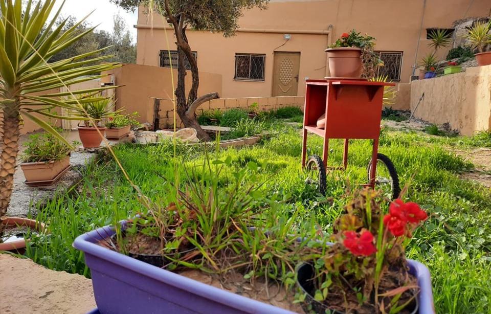 Emile Altwal Madaba Apartman Kültér fotó